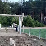 Do Wynajecia - Siedlisko Przy Lesie