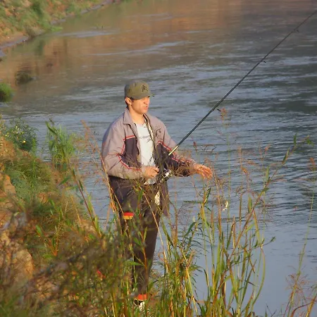 Do Wynajecia - Siedlisko Przy Lesie Rzasnik