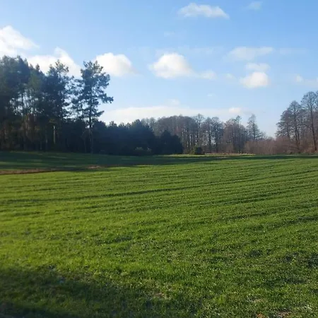 Holiday home Do Wynajecia - Siedlisko Przy Lesie *