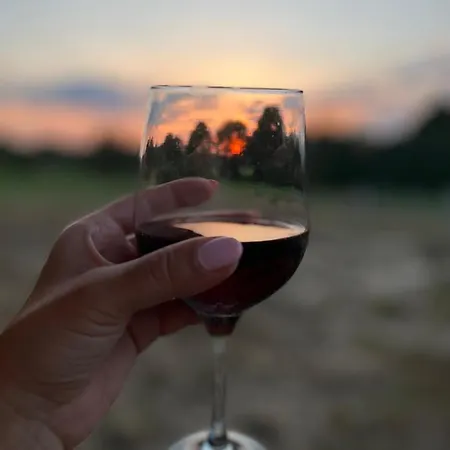 Do Wynajecia - Siedlisko Przy Lesie בית נופש *